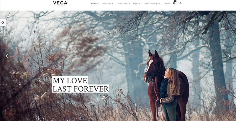 Vega themes wordpress creer site web photographe studio photo portfolio