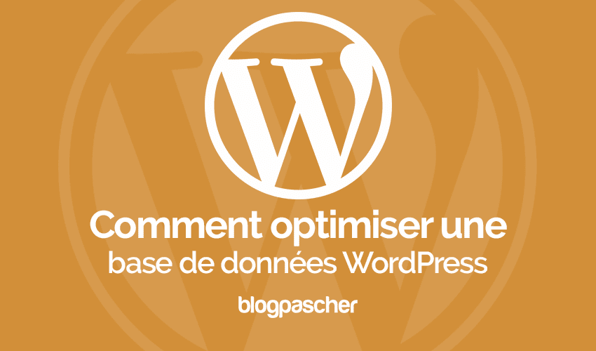 Comment optimiser une base de données en un clic sur WordPress