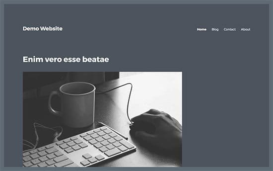 Démonstration zone sans sidebar Démonstration zone sans sidebar - supprimer la sidebar