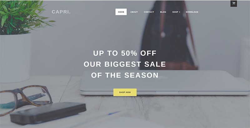 Capri themes wordpress creer site ecommerce meubles montres vetements chaussures