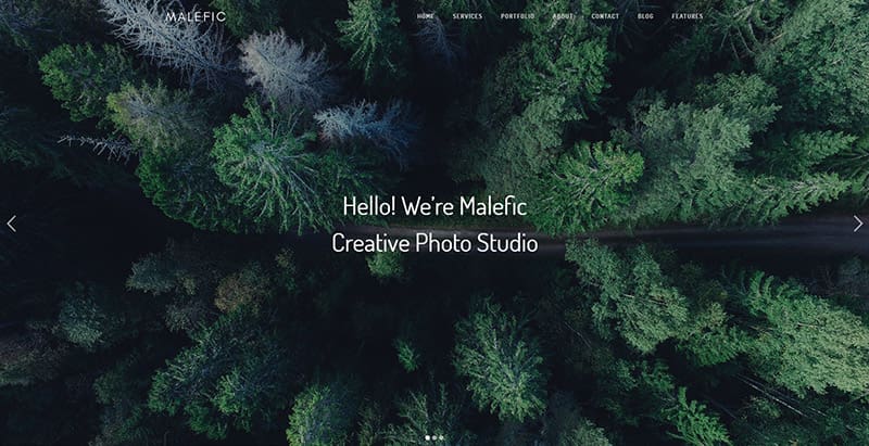 Malefic themes wordpress creer site web personne agence creative