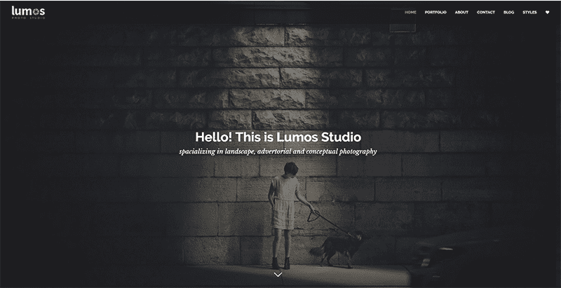 Lumos themes wordpress look sombre creer site web creative ecommerce magazine entreprise Lumos themes wordpress look sombre creer site web creative ecommerce magazine entreprise