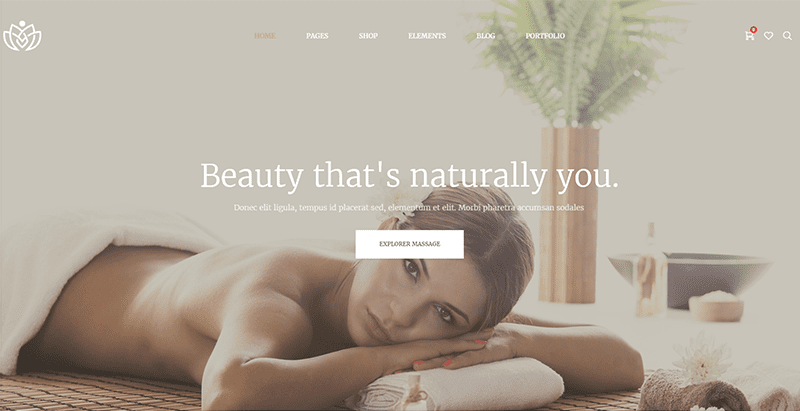 30 thèmes WordPress pour créer un site Web