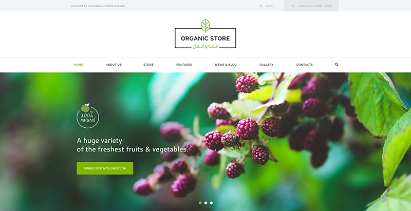 Organic store themes wordpress creer site web vente produits bio alimentation nutrition ferme Organic store meilleurs thèmes WordPress de fermier
