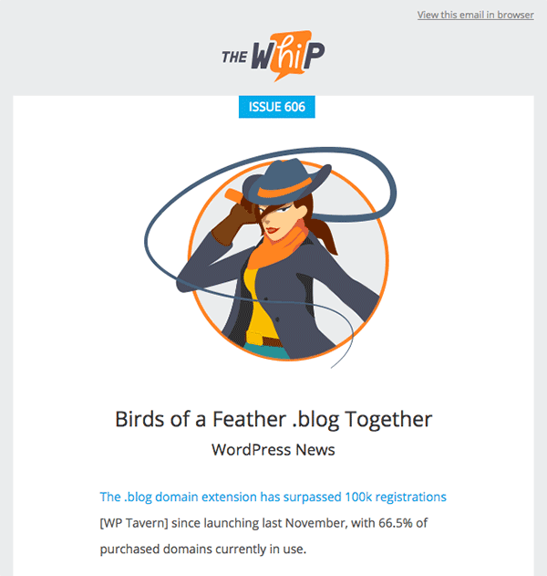 meilleurs plugins WordPress d'envoie d'emails - Newsletter exemple wordpress