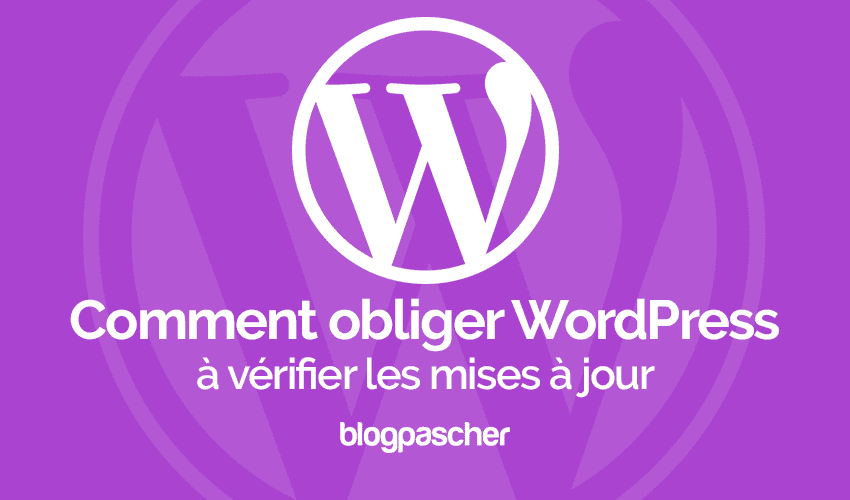 Comment obliger WordPress à vérifier les mises à jour des plugins