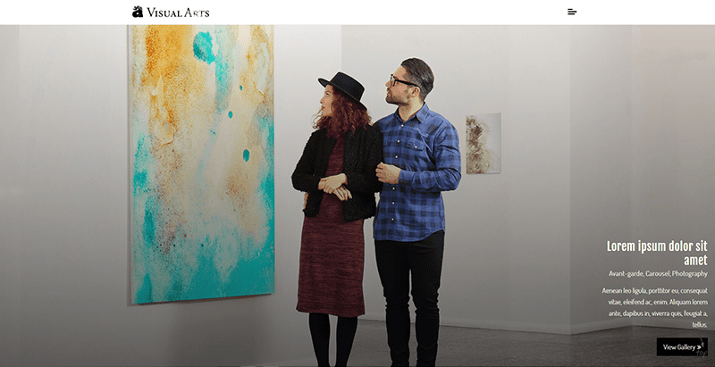 Visual arts themes wordpress creer site web photographe illustrateur artiste