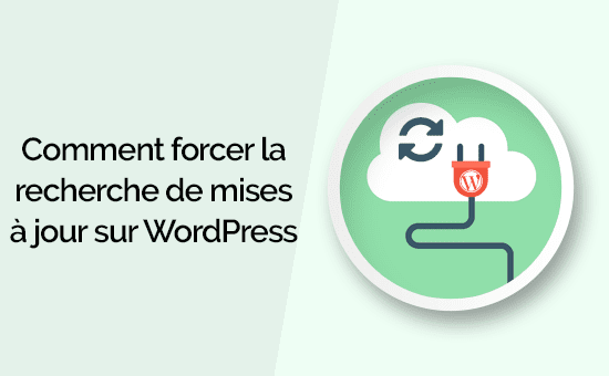 как да принудим търсенето на актуализации WordPress.png