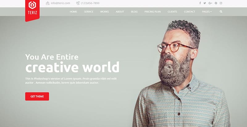 Teriz themes wordpress creer facilement site web entreprise agence startup