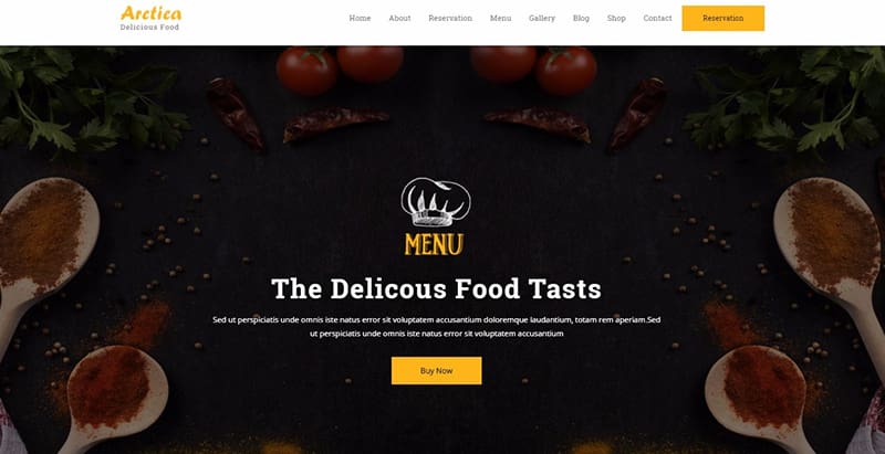 Arctica themes wordpress creer facilement site internet restaurant
