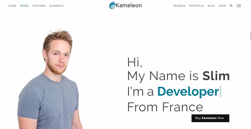 Kameleon themes wordpress creer site web cv entreprise agence pme