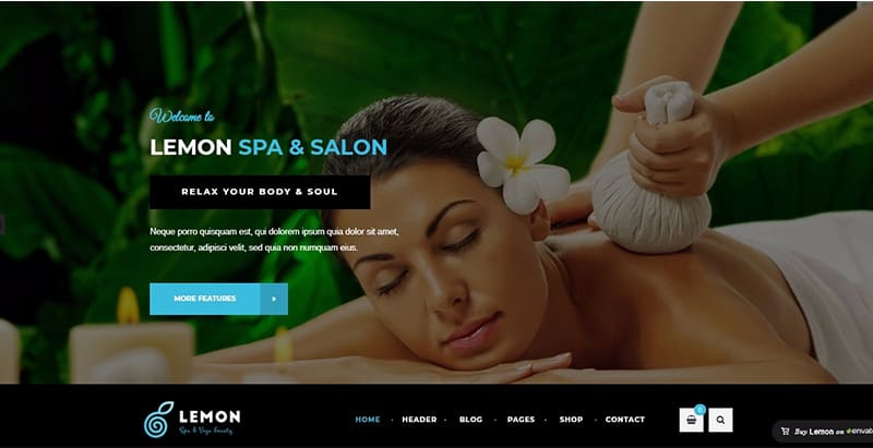 Lemon themes wordpress creer facilement site internet spa salon beaute Lemon themes wordpress creer facilement site internet spa salon beaute