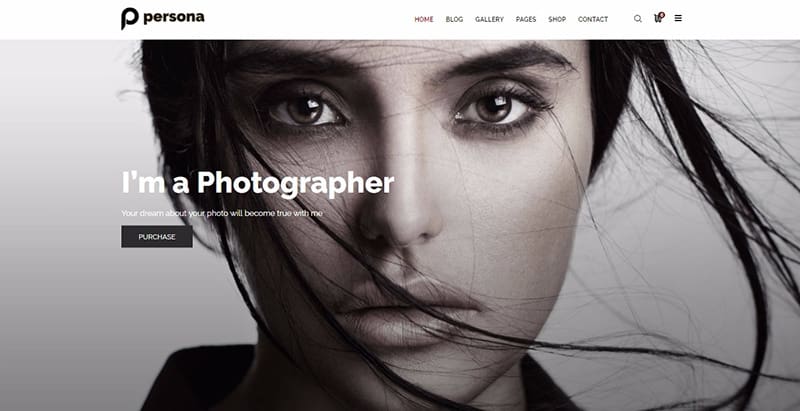 Persona themes wordpress creation site web photographe portfolio studio photo