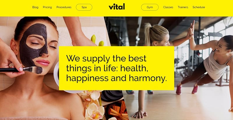 Vital themes wordpress creer site internet spa salon massage Vital themes wordpress creer site internet spa salon massage