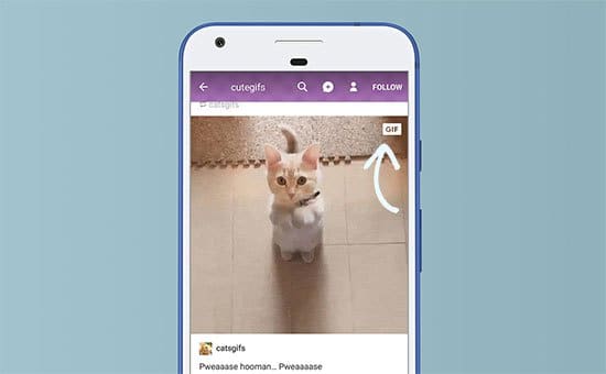 enregistrer l'image gif.jpg