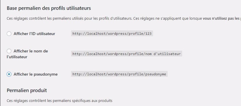 wpum zone permalien.jpeg