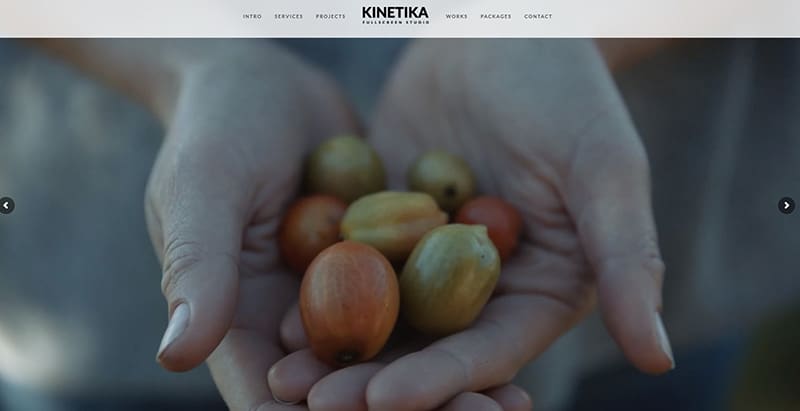Kinetika themes wordpress creer site web photographe creative