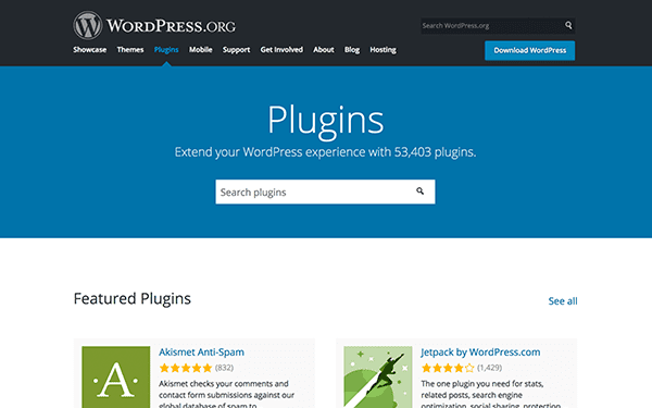 erreur WordPress plugin WordPress.png