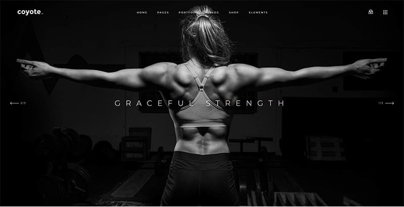 Coyote themes wordpress creer site web club fitness gym yoga