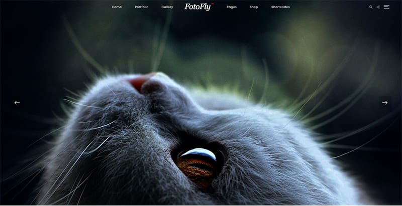 Fotofly themes wordpress creer site web photographe illustrateur designer Fotofly themes wordpress creer site web photographe illustrateur designer