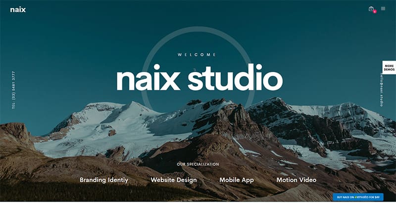 Naix themes wordpress creer site web photographe illustrateur designer Naix themes wordpress creer site web photographe illustrateur designer