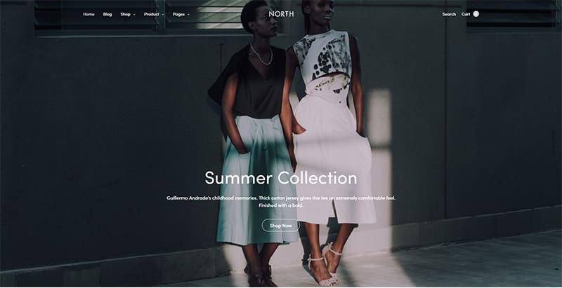 North themes wordpress creer boutique ligne site web