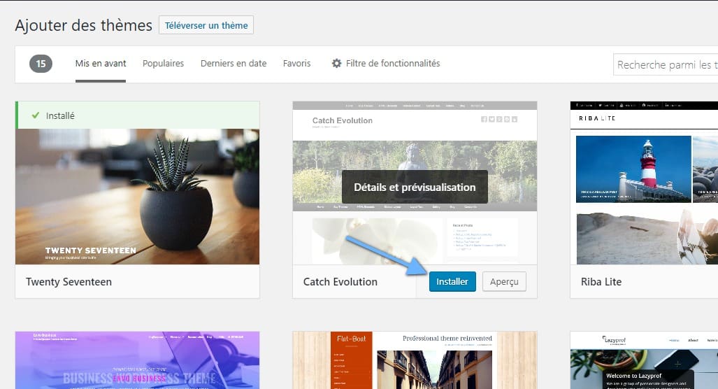 installation de thème wordpress choix du thème wordpress.jpeg