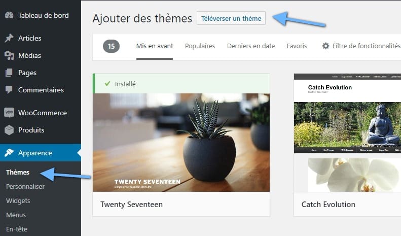 téléchargement de thème wordpress.jpeg