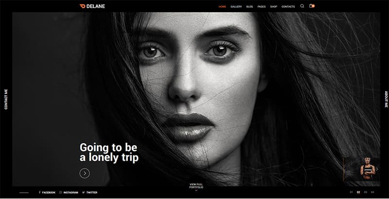 Delane themes wordpress creer site web agence creative photographie
