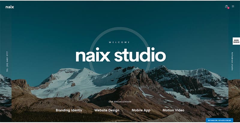 Naix themes wordpress premium creer site web photographe