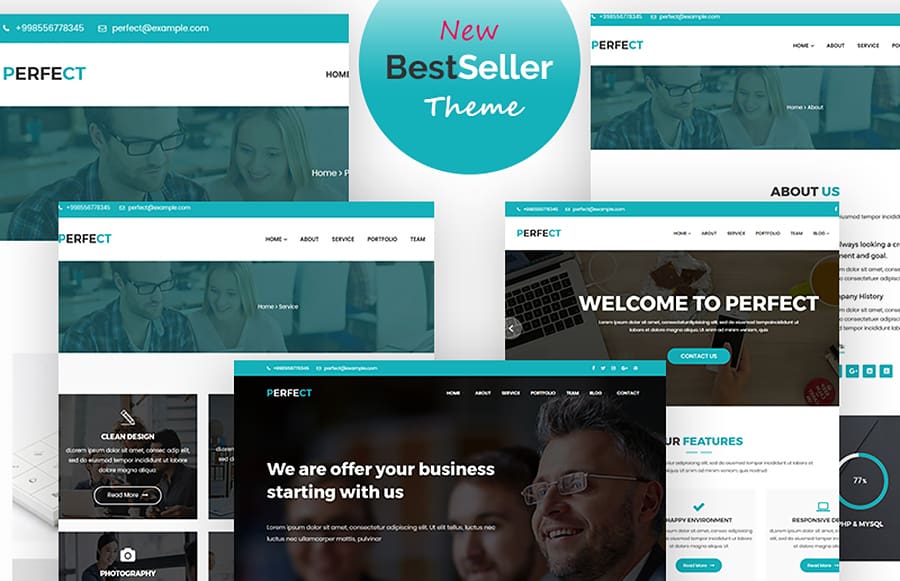 65710 big Thème WordPress corporatif parfait