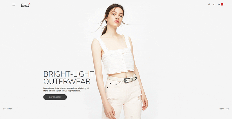 Exizt themes wordpress creer site internet pret a porter ecommerce