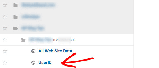 Userid vue UserId vue.png