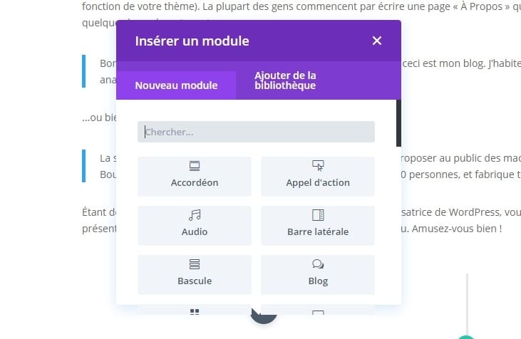 insérer un module DIVI.jpeg