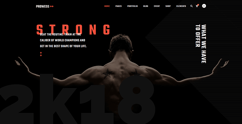 meilleurs thèmes WordPress de fitness - Prowess