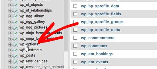 choisir la table option wordpress.jpg