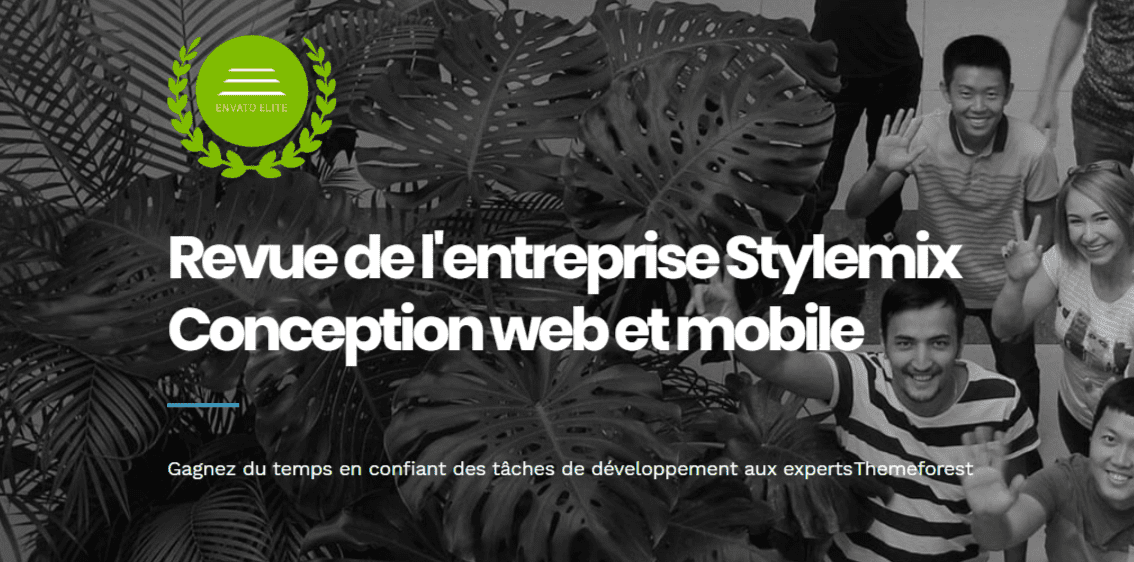 Revue Stylemix : Société de conception de logiciel mobile et web
