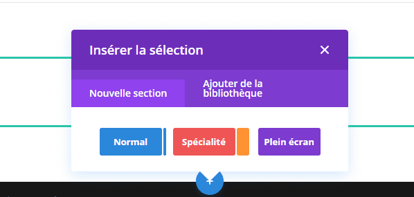 créer une section personnalisée divi.png