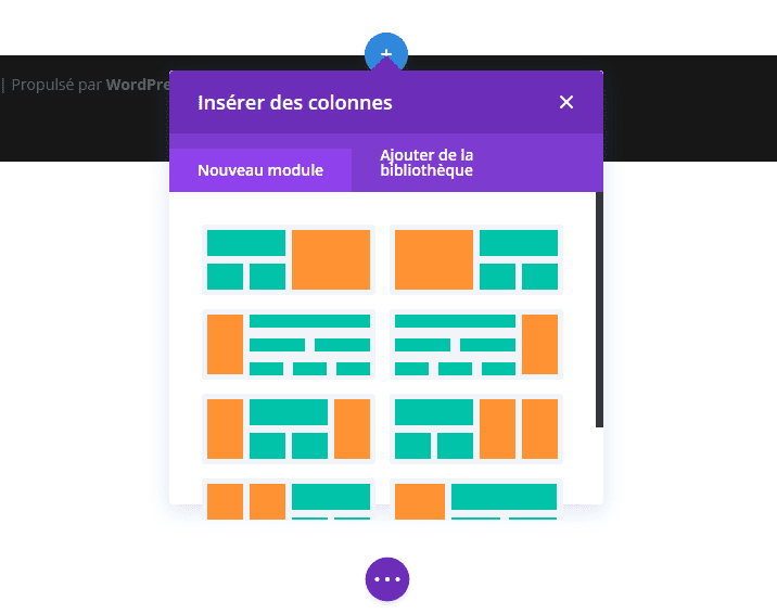 insertion colonnes divi.png