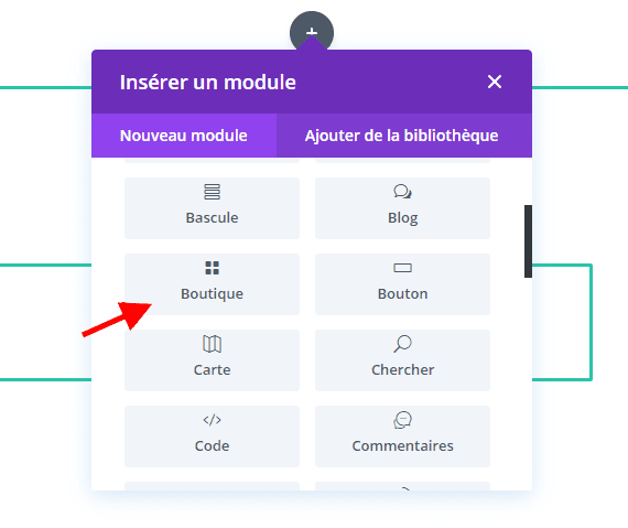module boutique divi.png