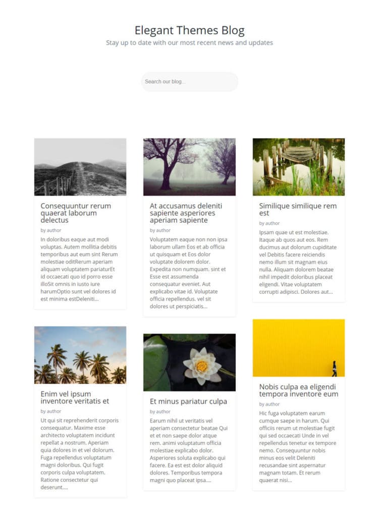 Exemple blog avec formulaire de recherche divi exemple blog avec formulaire de recherche divi.jpg