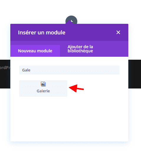 Galerie dimage divi galerie dimage divi.png
