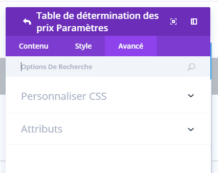 Option avancée divi option avancée divi.png