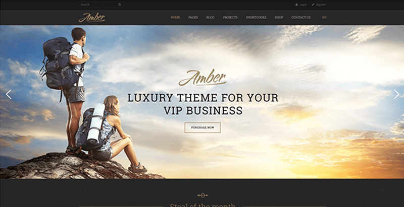 Amber premium tourism ratvel wordpress theme