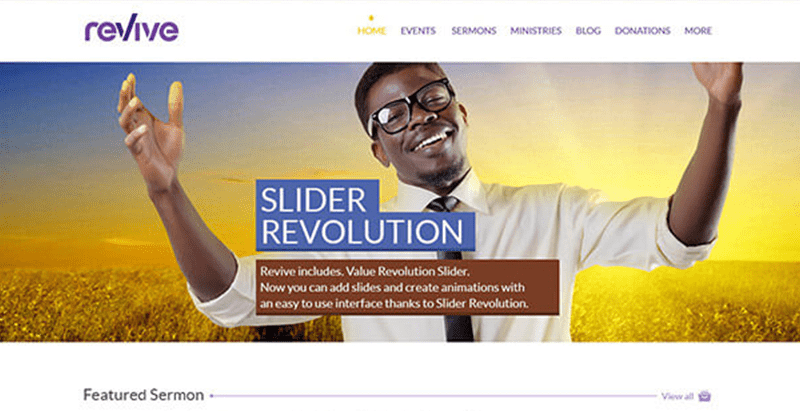 Revive wp theme stylemixthemes