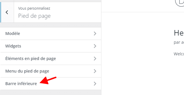 barre inferieur divi.png