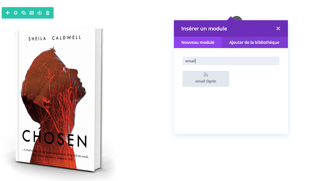 exemple email optin tutoriel divi.png