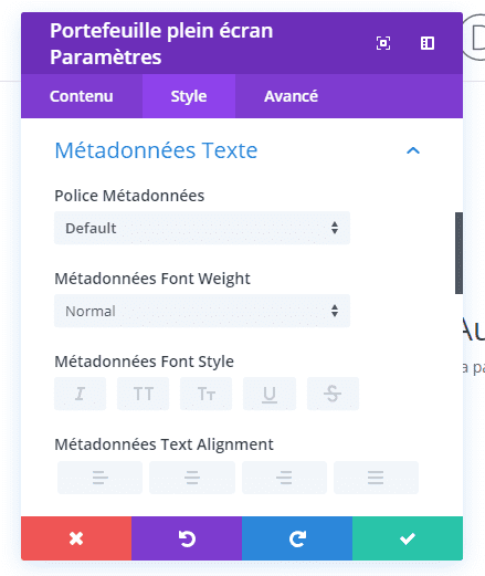 meta module portfolio plein ecran divi.png