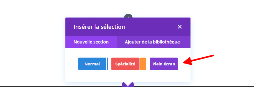 section plein ecran divi builder.png