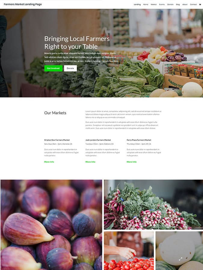 Template modèle divi thème wordpress créer site web agriculture bio aliments Template modèle divi thème wordpress créer site web agriculture bio aliments